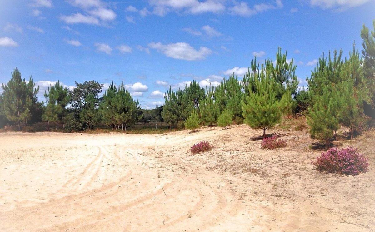 Au P'Tit Creux Des Landes Hotel Ychoux Kültér fotó